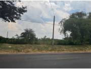 EN VENTA 2 HECTÁREAS EN LUQUE, ISLA BOGADO