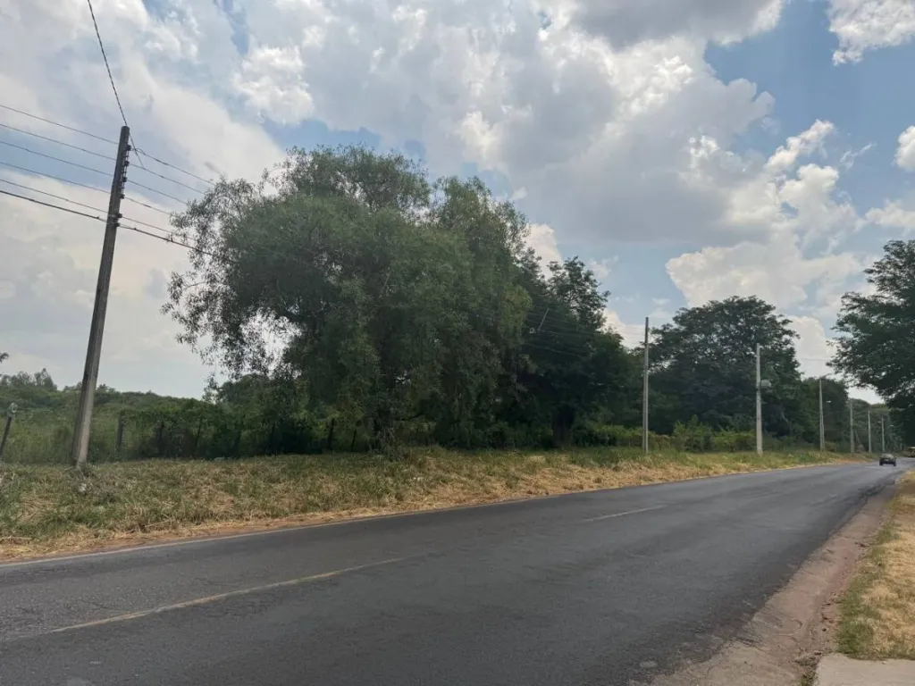 En Venta 2 Hectáreas Isla Bogado Luque ID 39069 — foto 2