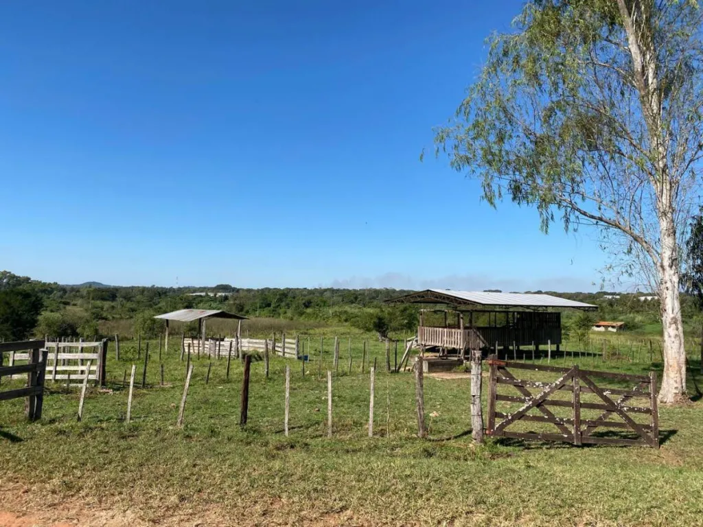 En Venta Terreno 24 Hectáreas San Lorenzo ID 39033 — foto 3