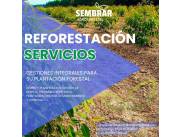 Servicios de forestación y reforestación