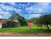 VENDO TERRENO EN LAURELTY LUQUE