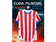 Camiseta de la Selección Paraguaya