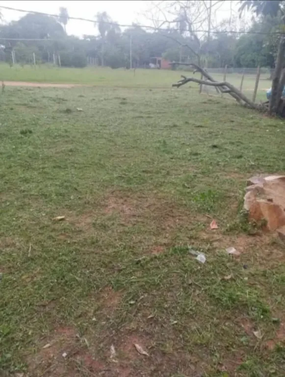 Vendo terreno con casa — foto 3