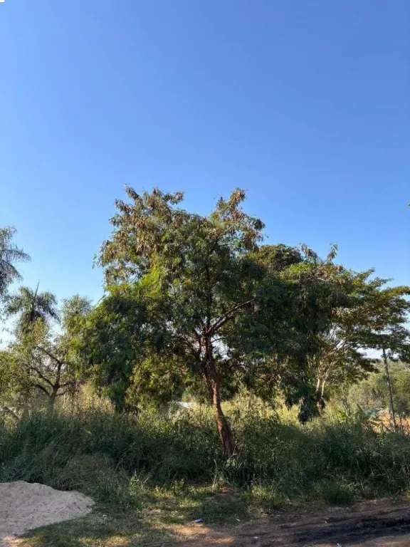 VENDO TERRENO EN MARIANO ZONA CORUMBA CUE — foto 2