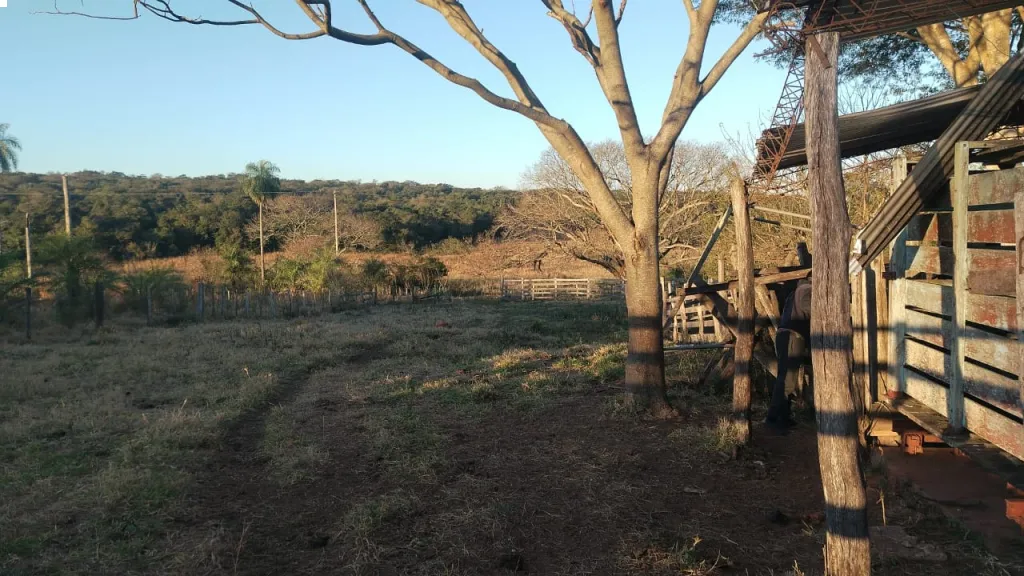 VENTA DE CAMPO – 178 HECTÁREAS – PARAGUARÍ IBYCUÍ — foto 3