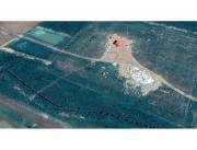 VENDO CAMPO PRODUCTIVO EN SAN JUAN NEPOMUCENO