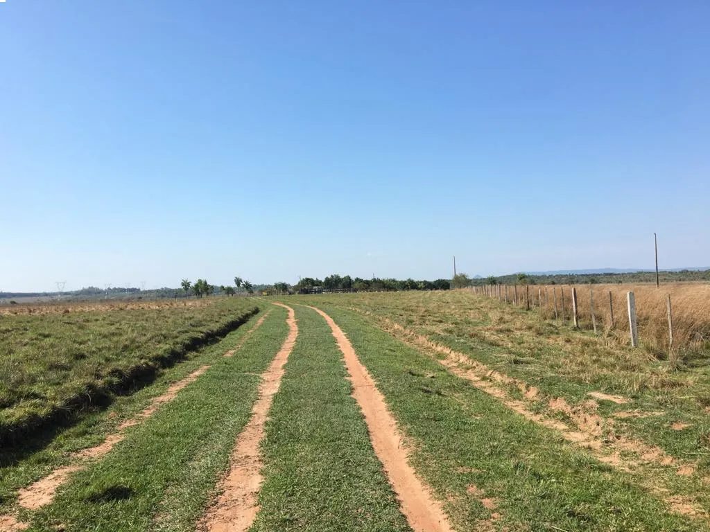 Vendo campo de 92 has - Quindy Ybycui - TRANQUERA CERRADA — foto 3