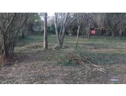 🏞 TERRENO EN ISLA BOGADO – LUQUE 🚀 ¡EN OFERTA!