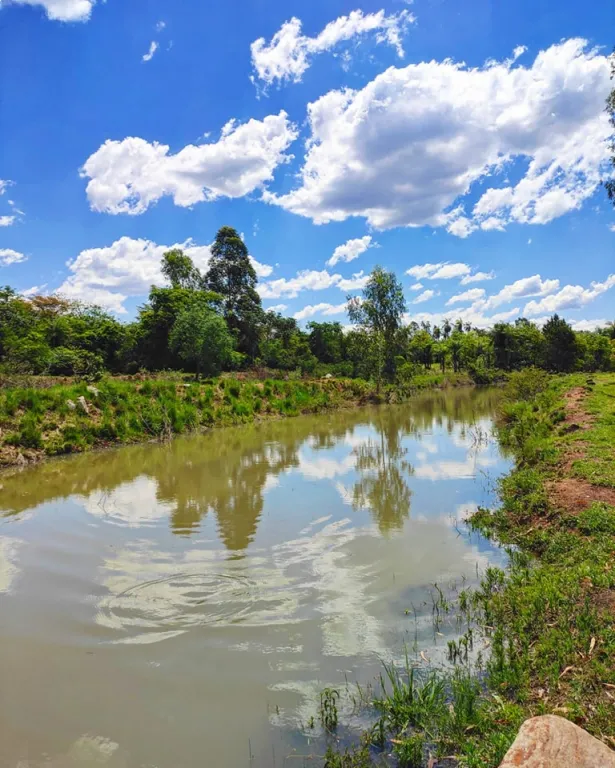 Vendo Granja en Emboscada — foto 2