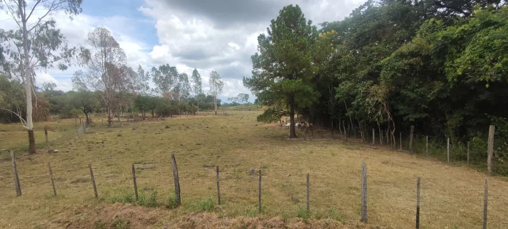 Vendo Granja en Emboscada — foto 3