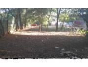 Vendo terreno cod 5391
