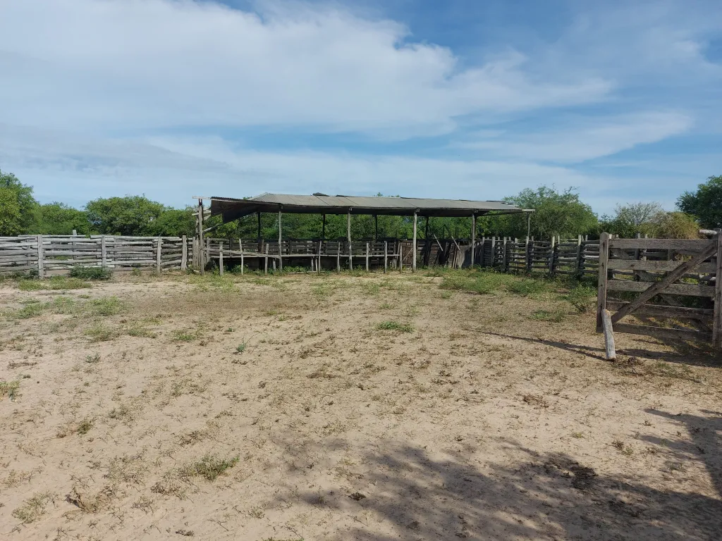 Estancia en Villa Hayes, a 300 km de Asunción, 950 usd la HA — foto 2