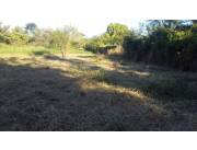 VENDO 2 HECTAREAS EN LIMPIO ISLA AVEIRO EL PORTAL ATRÁS DE ABASTO NORTE