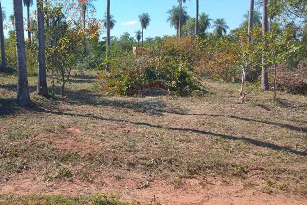 VENDO TERRENO EN LOMA GRANDE — foto 2