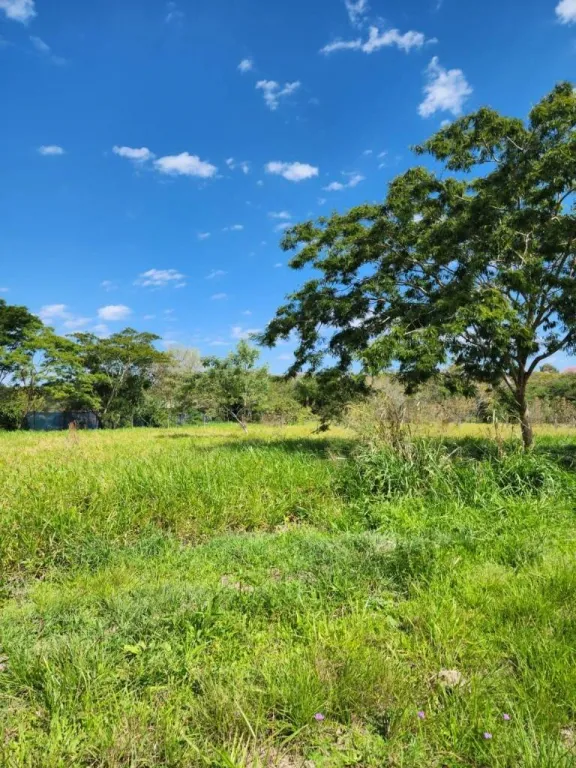 EN VENTA DOS LOTES EN SURUBII MARIANO ROQUE ALONSO — foto 2