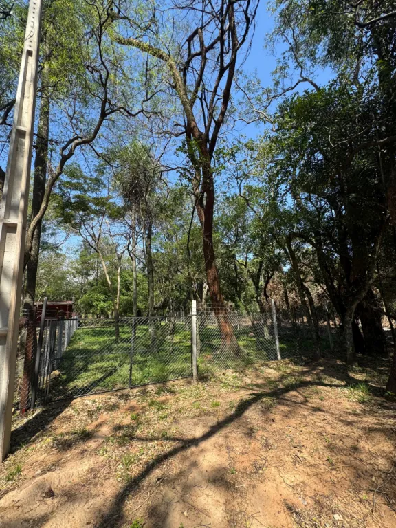 Vendo terreno en san Bernardino — foto 2