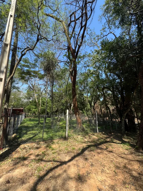 Vendo terreno en san Bernardino — foto 3