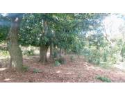 Terreno Rural en Altos - 40 Ha.