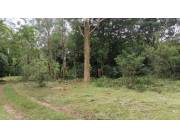 Terreno en venta
