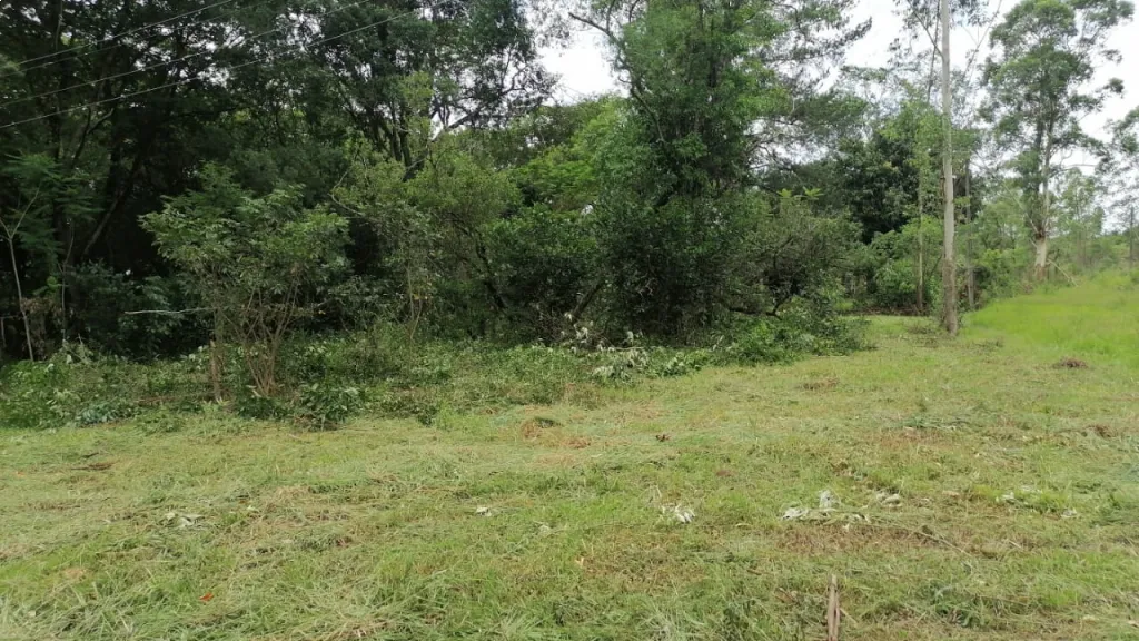 Terreno en venta — foto 2