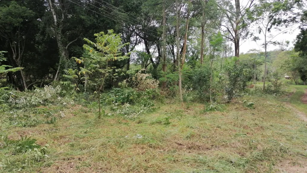 Terreno en venta — foto 3