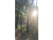 VENDO TERRENO - LAS CUMBRES, SAN BERNARDINO