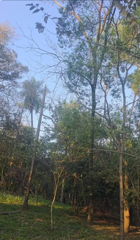 VENDO TERRENO - LAS CUMBRES, SAN BERNARDINO — foto 2