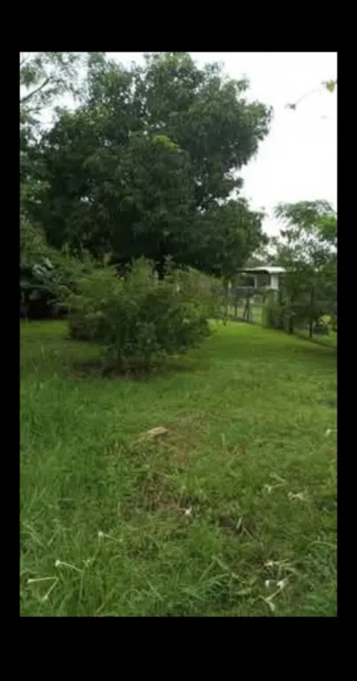 Venta de propiedad en Carmen del Paraná. Nro. 14 — foto 3