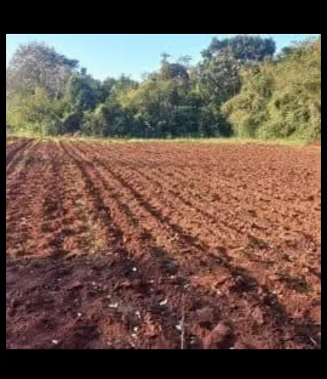 Venta de Propiedad Rural. Imperdible Oferta‼️ Nro. 16 — foto 2