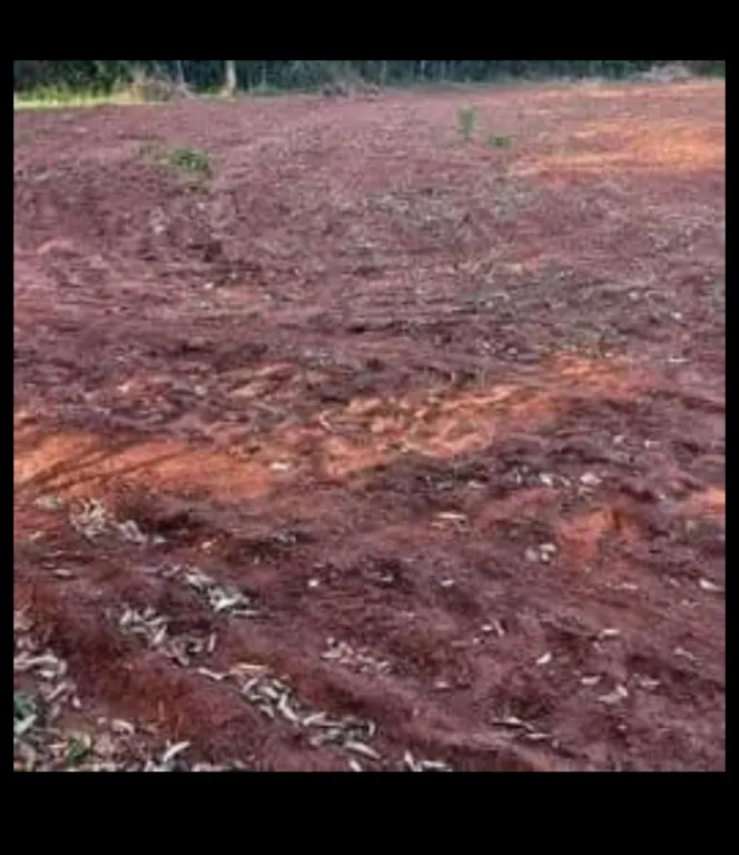 Venta de Propiedad Rural. Imperdible Oferta‼️ Nro. 16 — foto 3