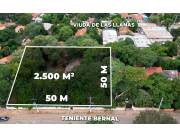 Terreno de 2.500m2 en Asunción Trinidad Zona industrial