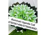 Real illuminati agent in Uganda Kampala call 0782561496/0756664682