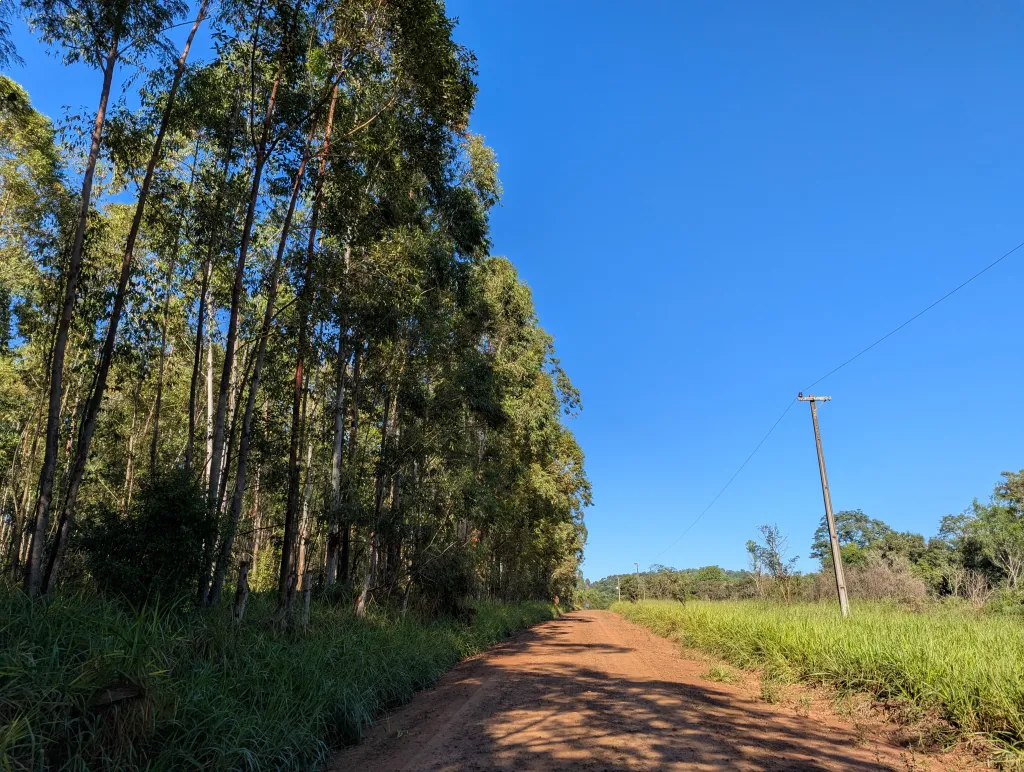 Terreno único en Trinidad, cerca Hohenau — foto 2