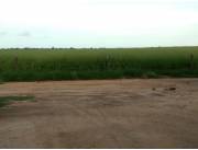 Vendo Campo de 9.848 Hectáreas en la Zona San Agustín - CLCS7315670
