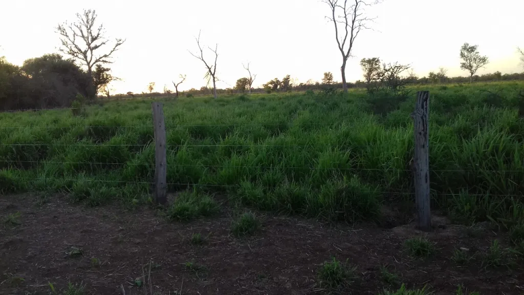 Vendo Campo de 9.848 Hectáreas en la Zona San Agustín - CLCS7315670 — foto 3