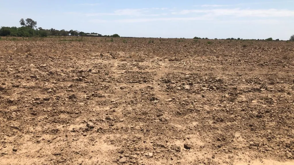 Vendo Campo de 7.031 Hectáreas en Zona Prat Gill, Boquerón - CLCS7315976 — foto 2