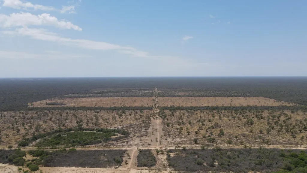 Vendo Campo de 7.031 Hectáreas en Zona Prat Gill, Boquerón - CLCS7315976 — foto 3