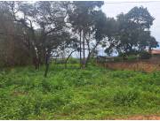 Vendo terreno en Urbanización El Cortijo