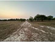 EN VENTA !! 20 Y 10 HECTÁREAS EN CHACO-I SOBRE RUTA INTERNACIONAL