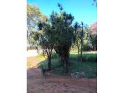 Vendo terreno de 12x30 en Mora Cue Luque