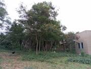 VENDO TERRENO EN AREGUA COD 5567