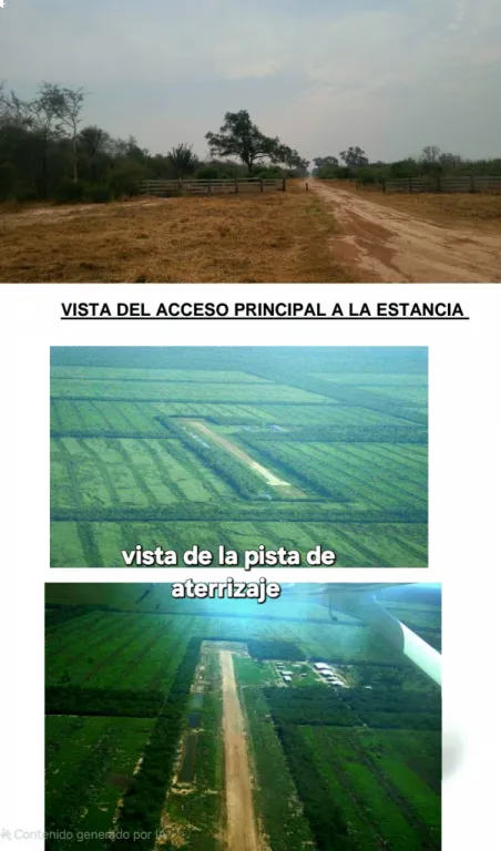 Vendo Establecimiento ganadero. Dpto. de Alto Paraguay – Distrito de Bahia Negra — foto 3