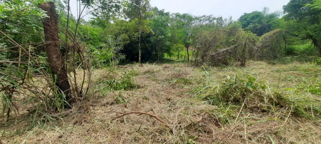 Vendo Terreno en Barrio Remanso de Mariano Roque Alonso — foto 2