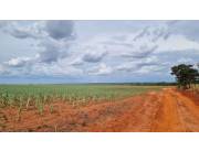 Vendo Campo de 747 Hectáreas en Santa Rosa del Aguaray - CLCS7320234