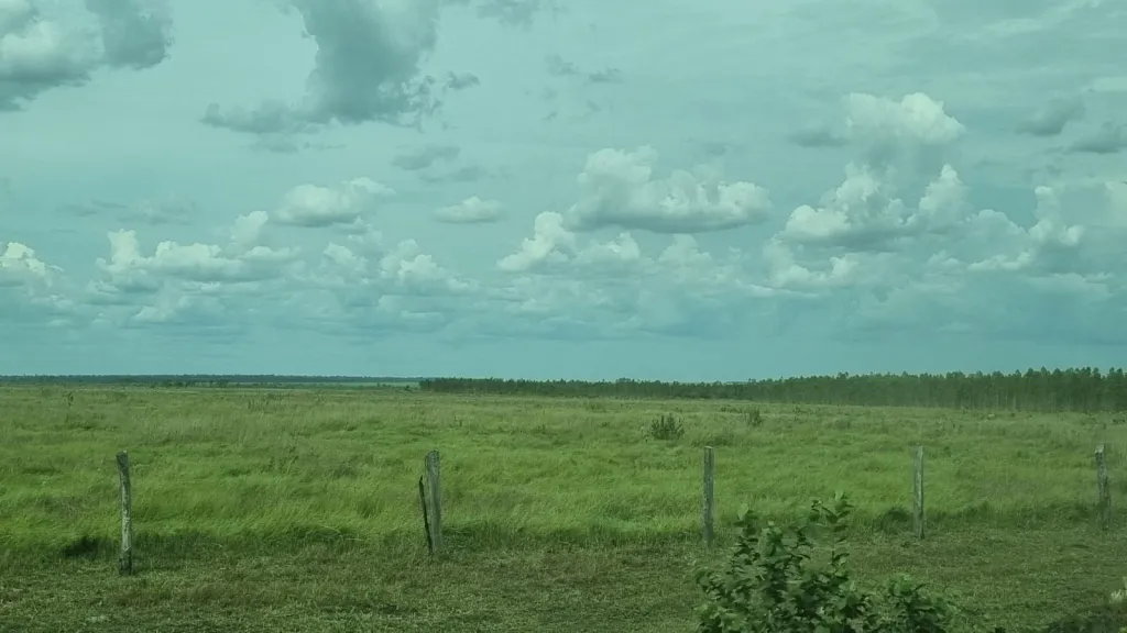 Vendo Campo de 747 Hectáreas en Santa Rosa del Aguaray - CLCS7320234 — foto 2