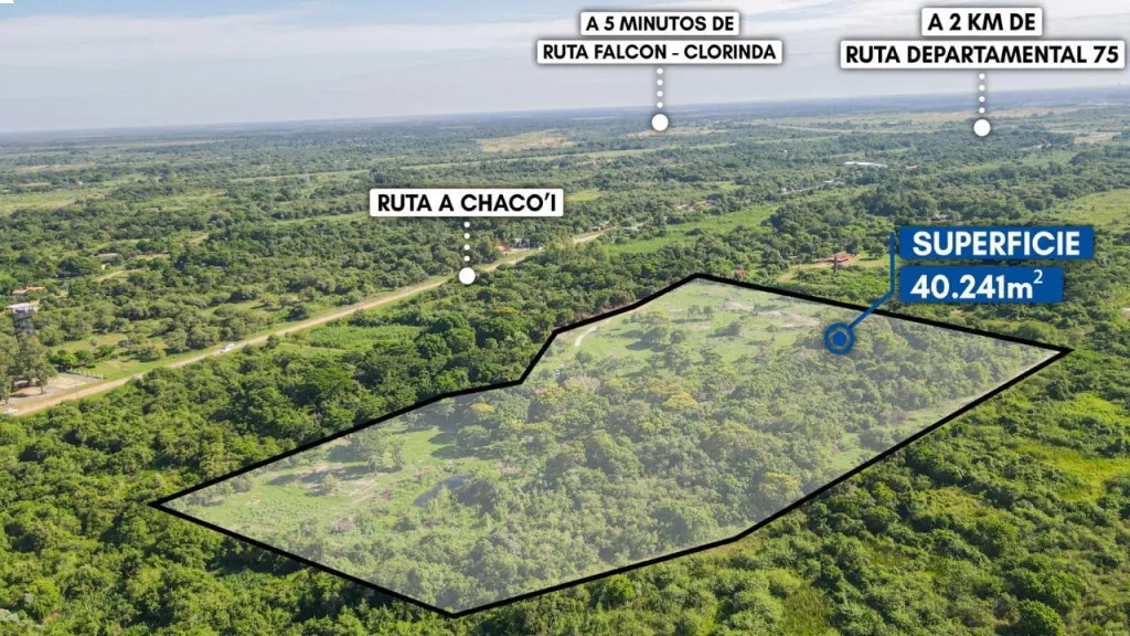 Vendo 4 Hectáreas en Nueva Asunción. — foto 2