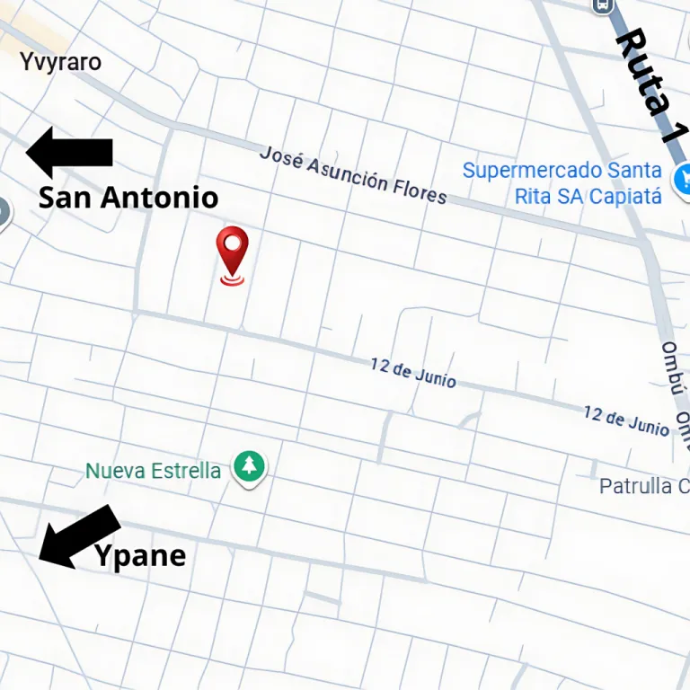 En venta terrano en Capiatá - Yvyraró hacia Ruta 1 - lotes de 361 m2 — foto 2