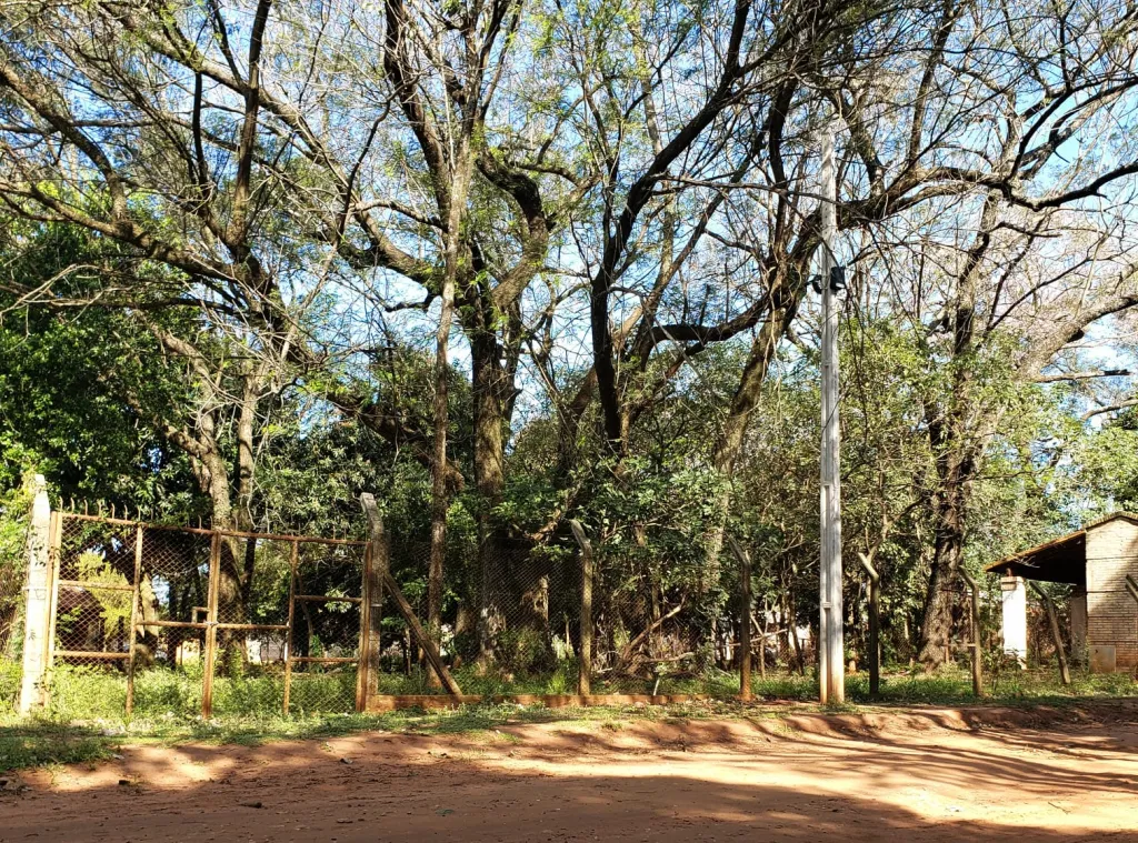 En venta terrano en Capiatá - Yvyraró hacia Ruta 1 - lotes de 361 m2 — foto 3