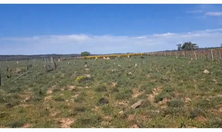 Venta de Terreno — foto 2