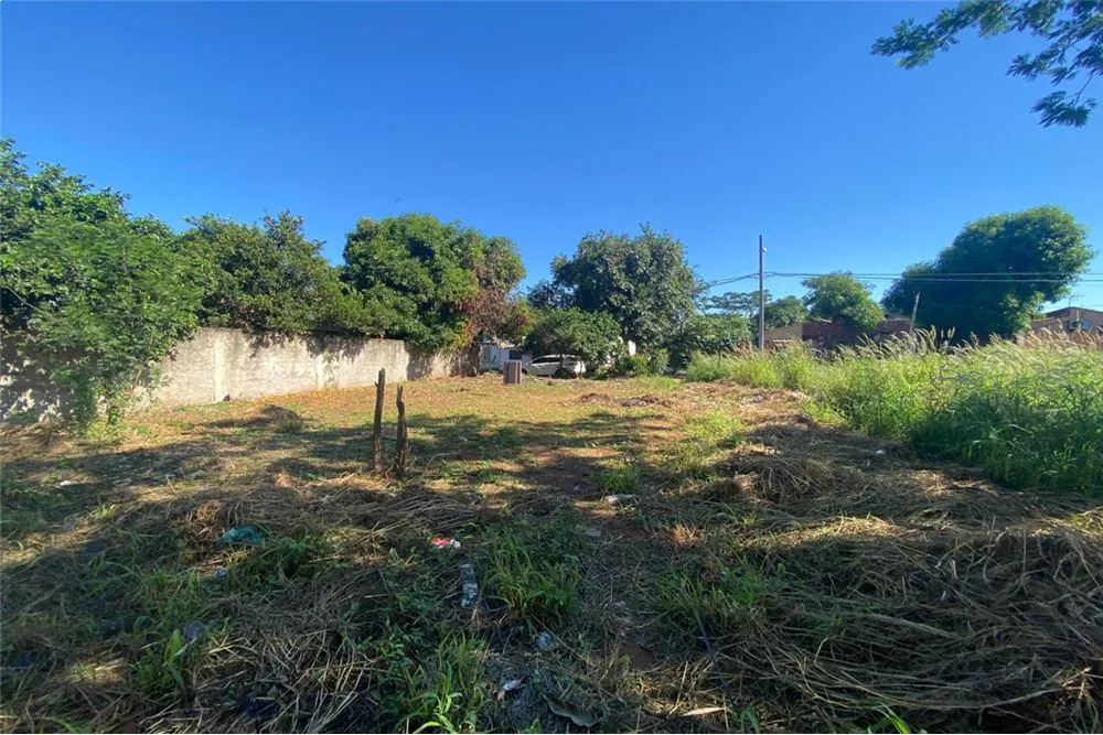 VENDO TERRENO EN CAPIATA BARRIO URUGUAY — foto 3